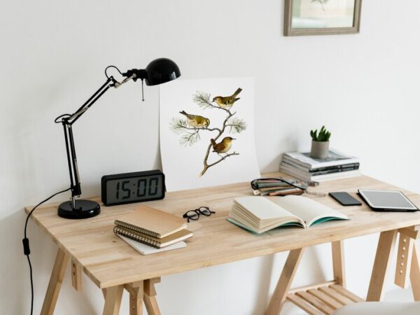Passo a passo para caprichar na decoração para escritório